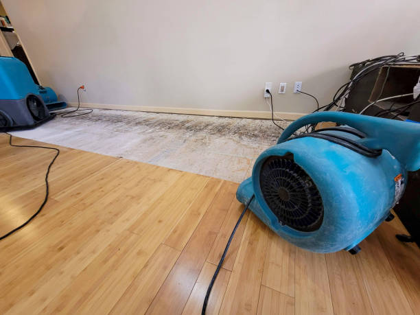 Professional Sewage Cleanup technician working in Limestone, IL